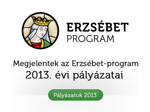 palyazat_2013